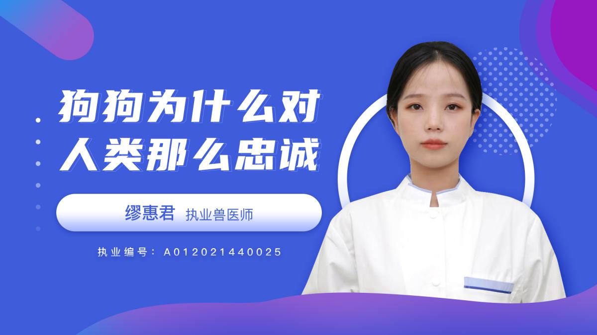 狗狗为什么对人类那么忠诚呢？