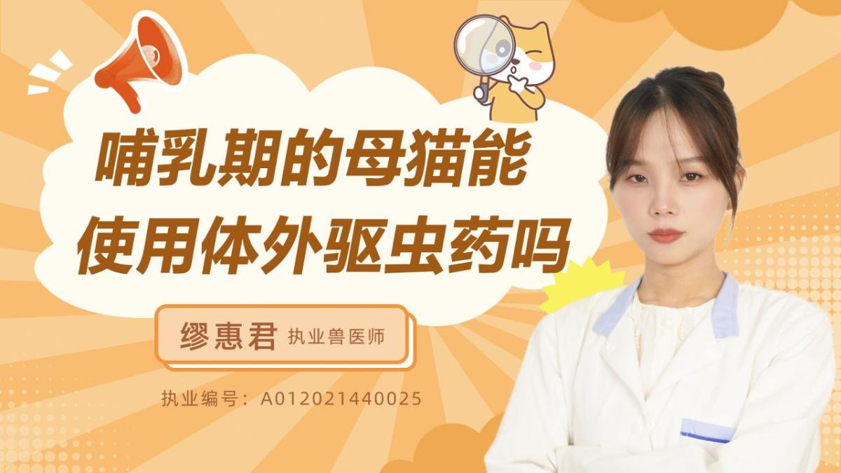 哺乳期的母猫能使用体外驱虫药吗？