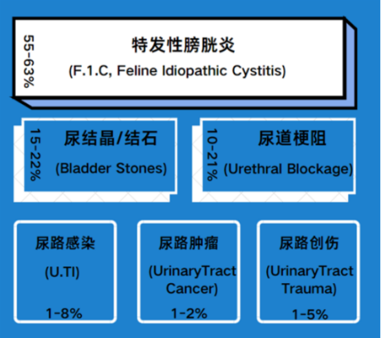 公猫尿不出来尿的原因