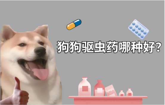 狗狗驱虫药哪种好？