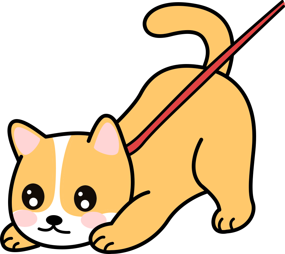 老龄犬怎么养