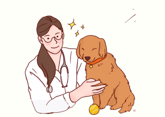 狗狗拉稀怎么办？