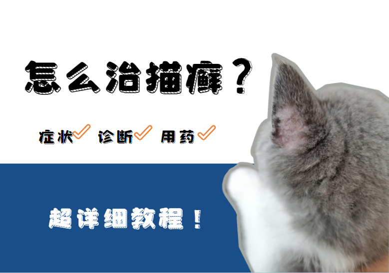 怎么治猫癣？