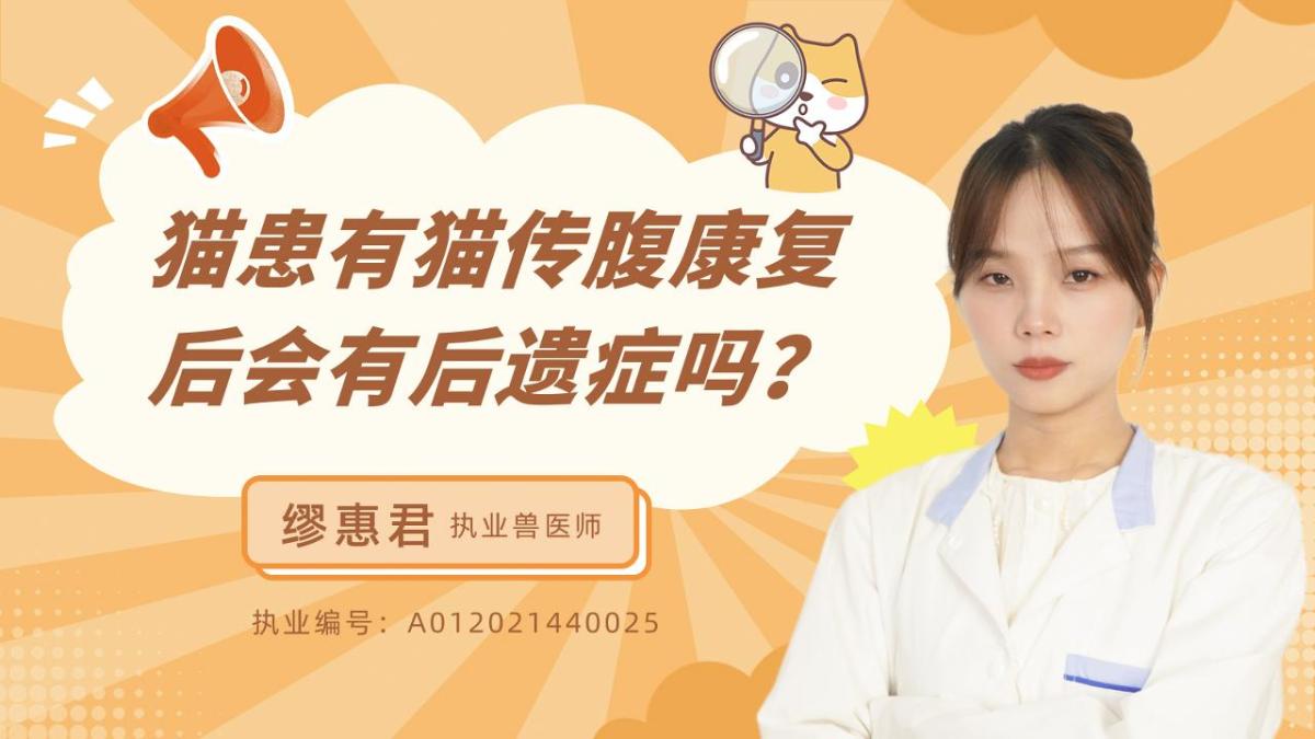 猫患有猫传腹康复后会有后遗症吗？