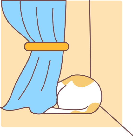 猫咪怎么训练