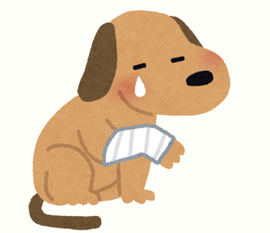 狗狗外伤用什么药？