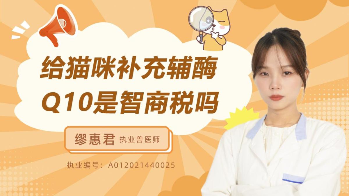 给猫咪补充辅酶Q10是智商税吗？