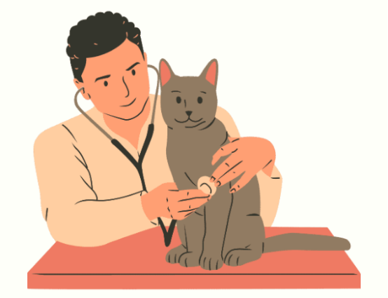 猫咪耳朵里脓状分泌物怎么治疗？