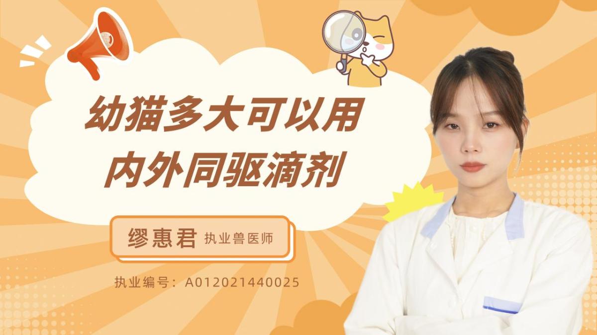 幼猫多大可以用内外同驱滴剂？