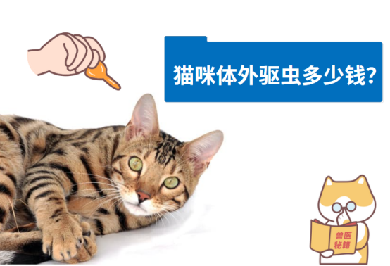 猫咪体外驱虫多少钱？