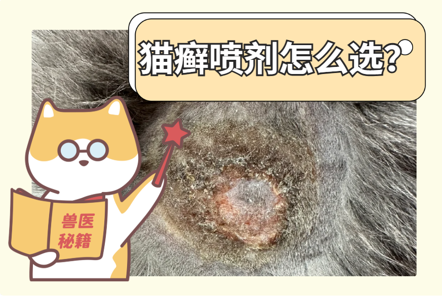 猫癣喷剂怎么选