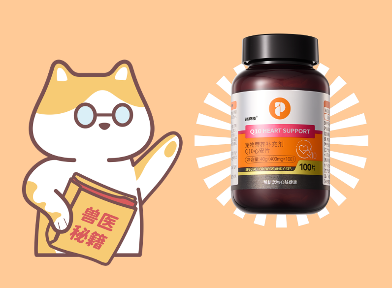 老年犬/小型犬必看：2026年高性价比狗狗辅酶Q10推荐