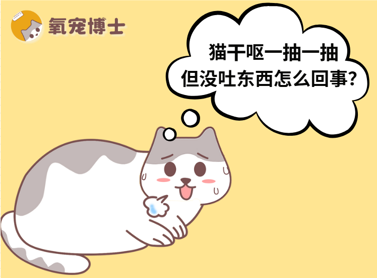 猫干呕一抽一抽但没吐东西