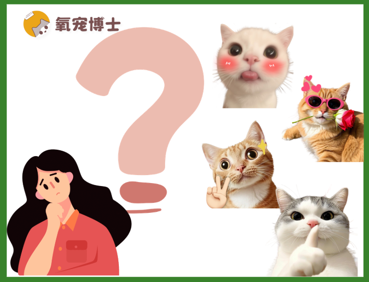 女生适合养的猫咪品种有哪些？