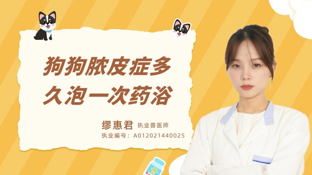 狗狗脓皮症多久泡一次药浴？