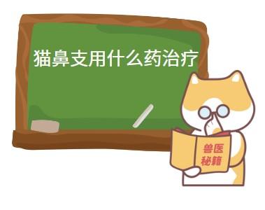 猫鼻支用什么药治疗效果好？