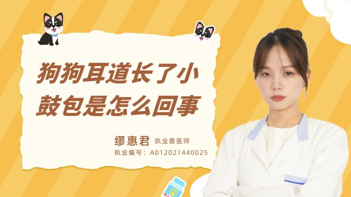 狗狗耳道长了小鼓包是怎么回事？