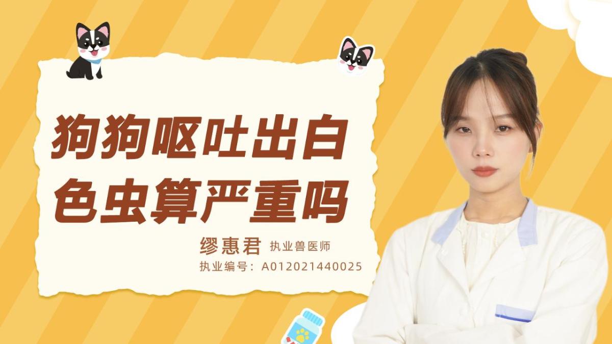 狗狗呕吐出白色的虫算严重吗？
