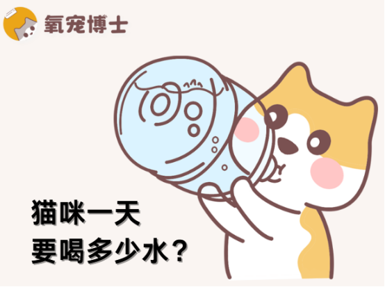 猫咪每日的饮水量标准