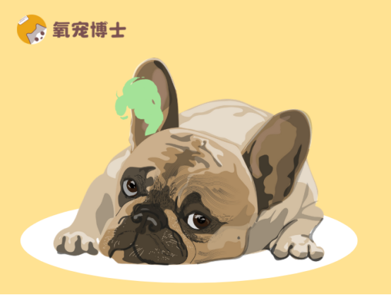 狗狗耳朵臭怎么办？
