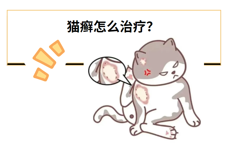 猫癣怎么治疗？