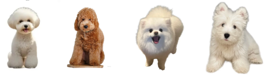 狗狗热门品种大全