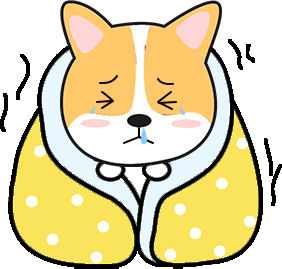 狗狗发抖