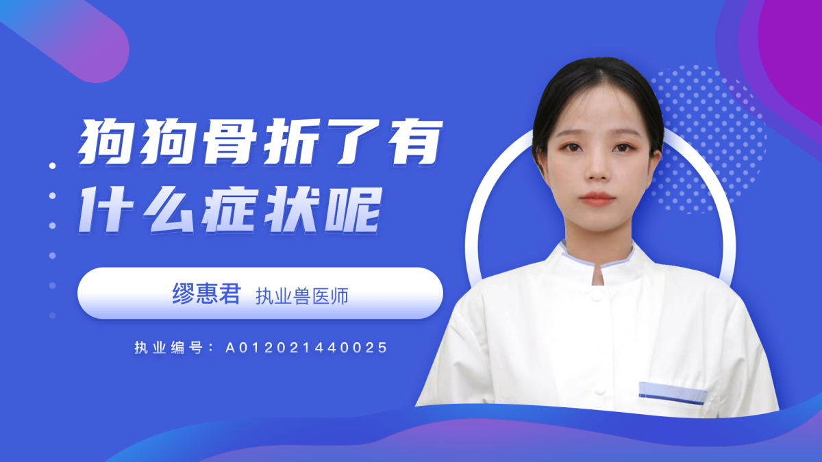 狗狗骨折了有什么症状呢？