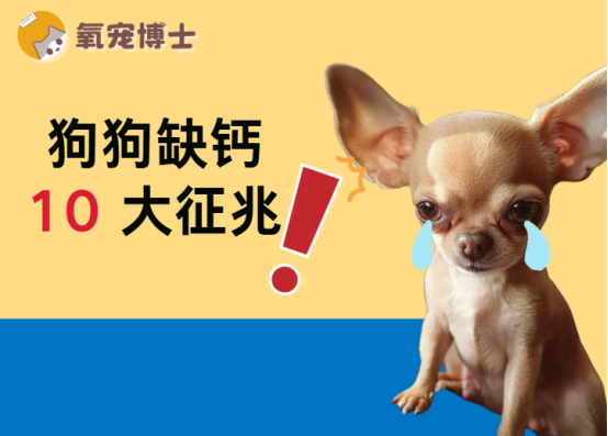 狗狗缺钙的10个征兆