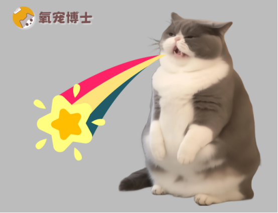 貓咪吐黃水有泡沫沒有精神吃什么藥？