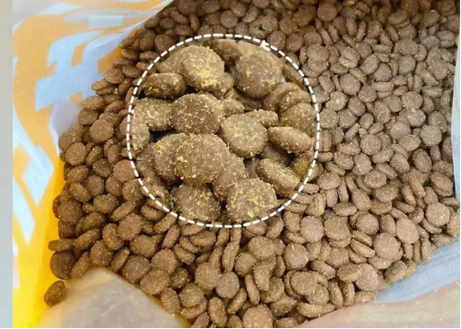猫粮测评