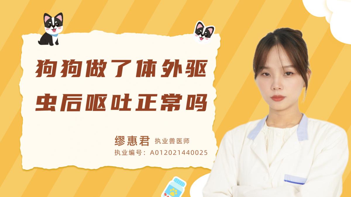 狗狗做了体外驱虫后呕吐正常吗？