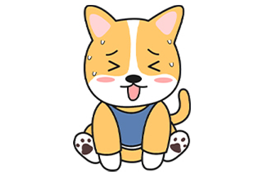 狗狗尿黃是什麼原因？