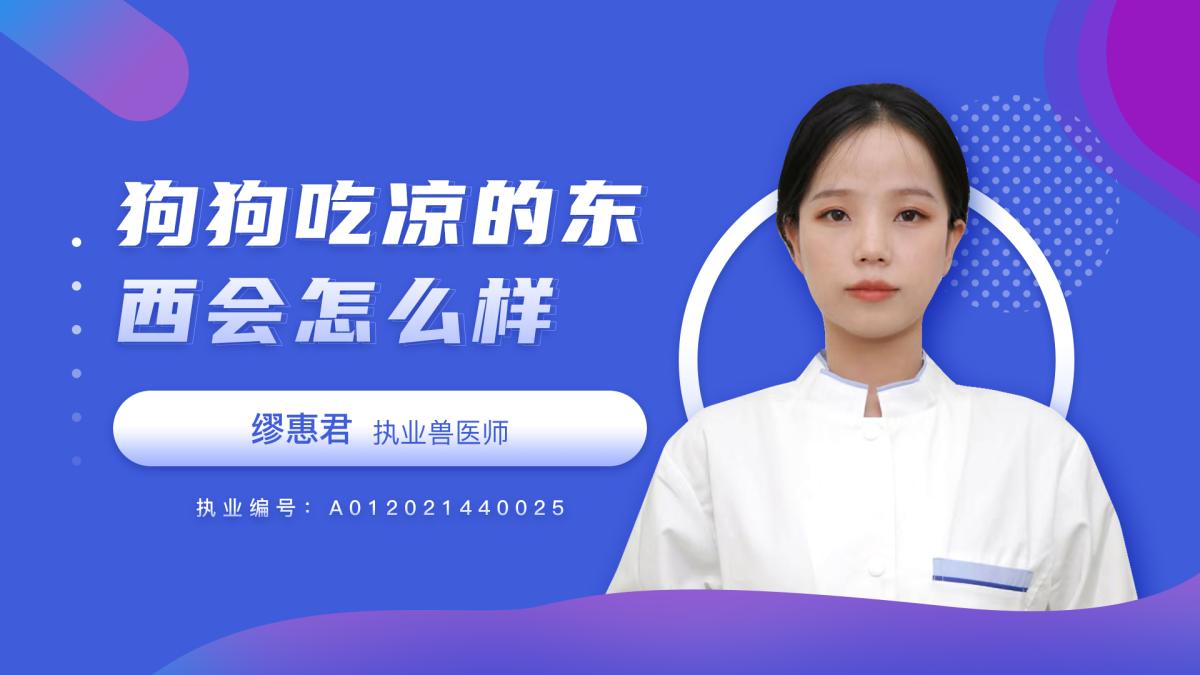 狗吃凉的东西会怎么样？