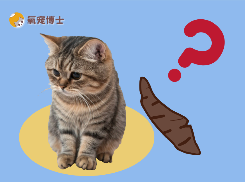 猫咪大便一节一节的正常吗？