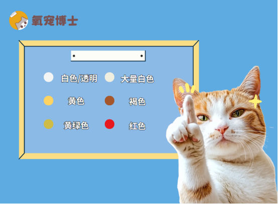 猫咪的眼睛有分泌物怎么回事？