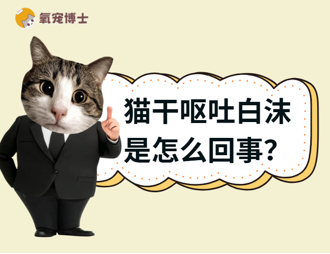 貓幹嘔一抽一抽的吐白沫