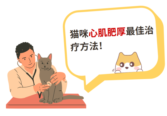 三分治，七分养——猫咪心肌肥厚最佳治疗方法