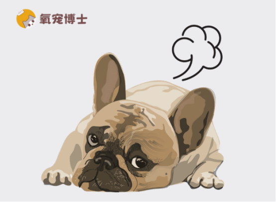 狗狗老放臭屁是怎么回事？