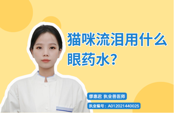 猫咪流泪用什么眼药水？