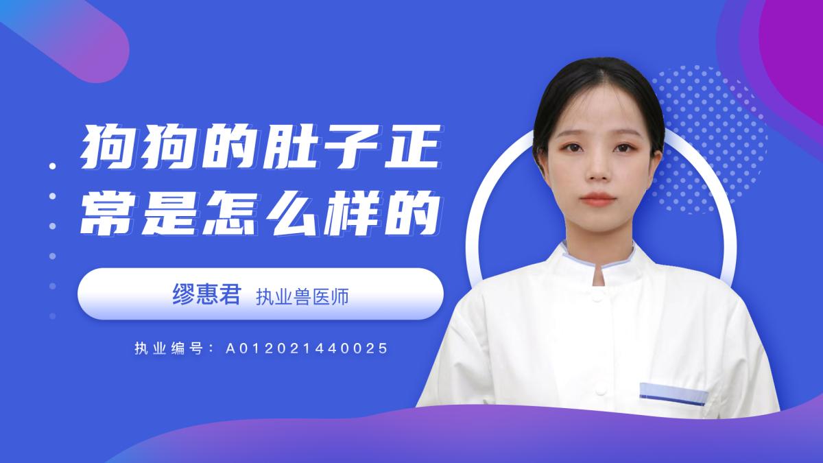 狗狗的肚子正常是怎麼樣的？