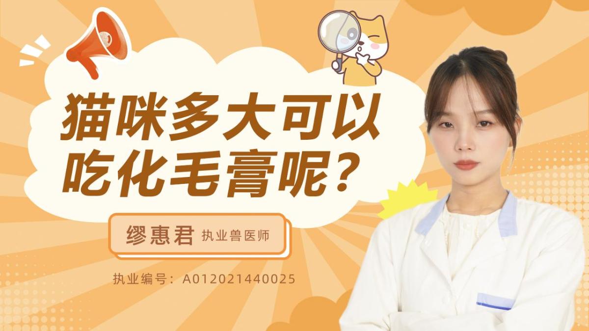 猫咪多大可以吃化毛膏呢？