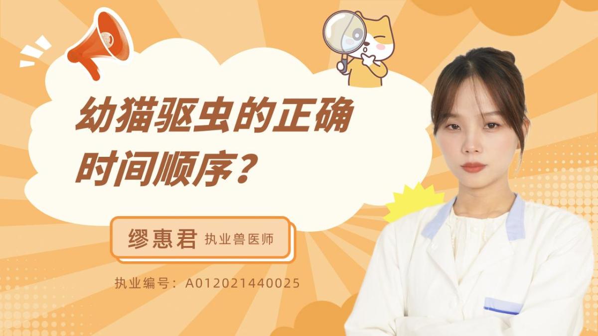 幼猫驱虫的正确时间顺序？