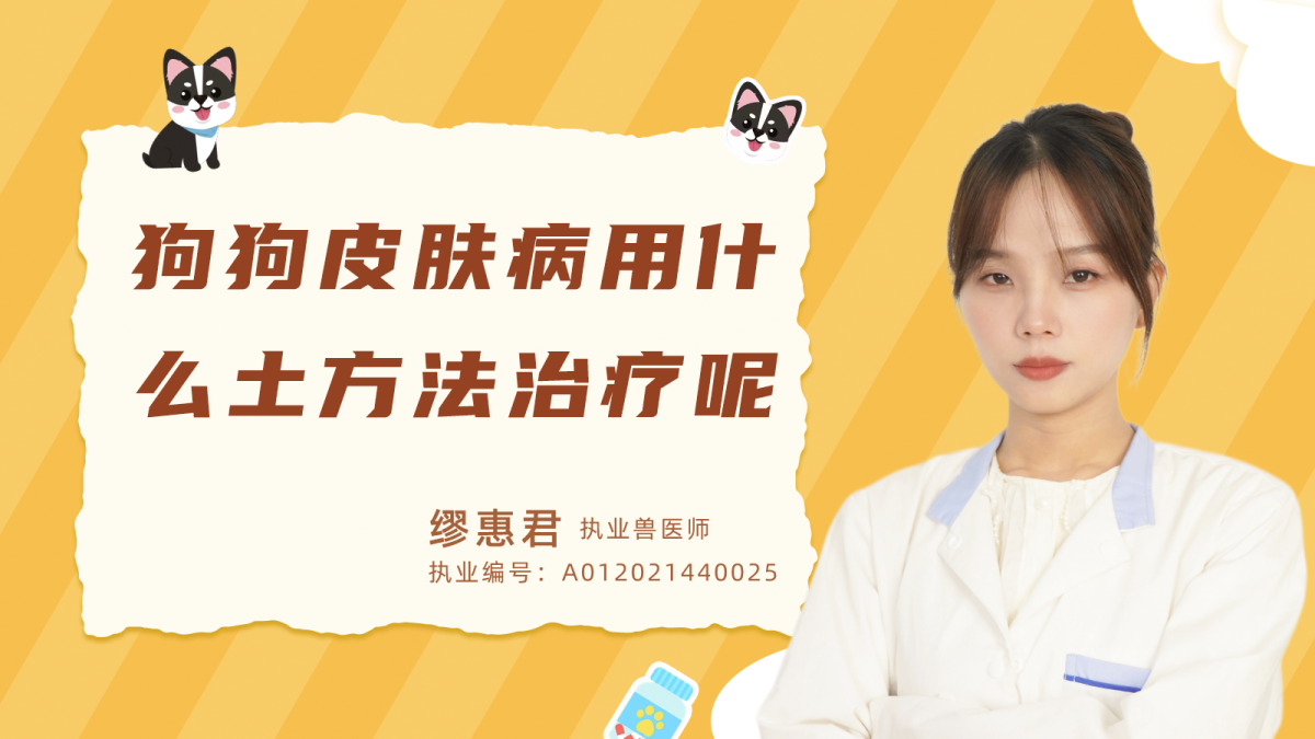 狗狗皮膚病用什麼土方法治療呢？