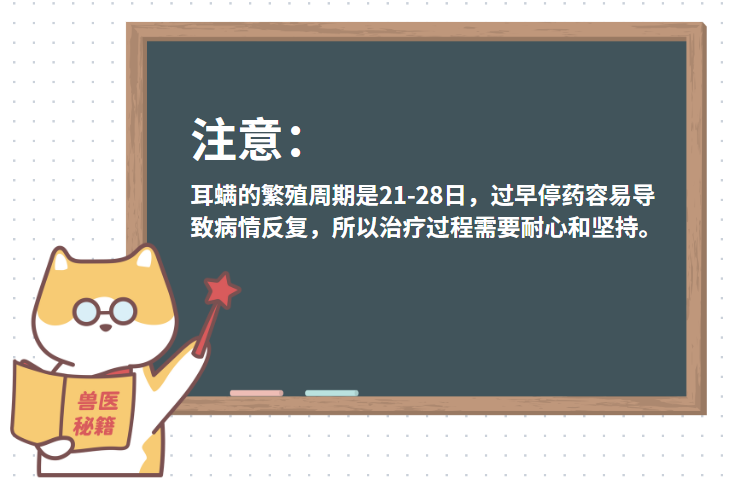 猫耳螨怎么治疗？