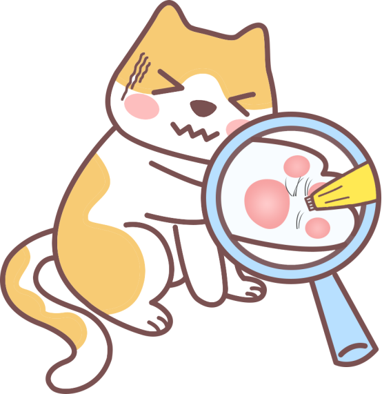 猫咪不给碰爪子