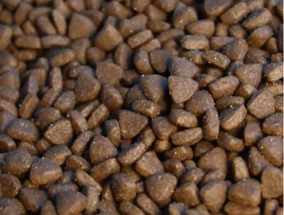 猫小闹猫粮测评