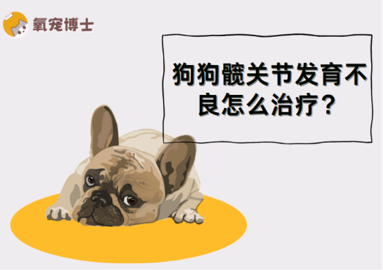 狗狗髋关节发育不良