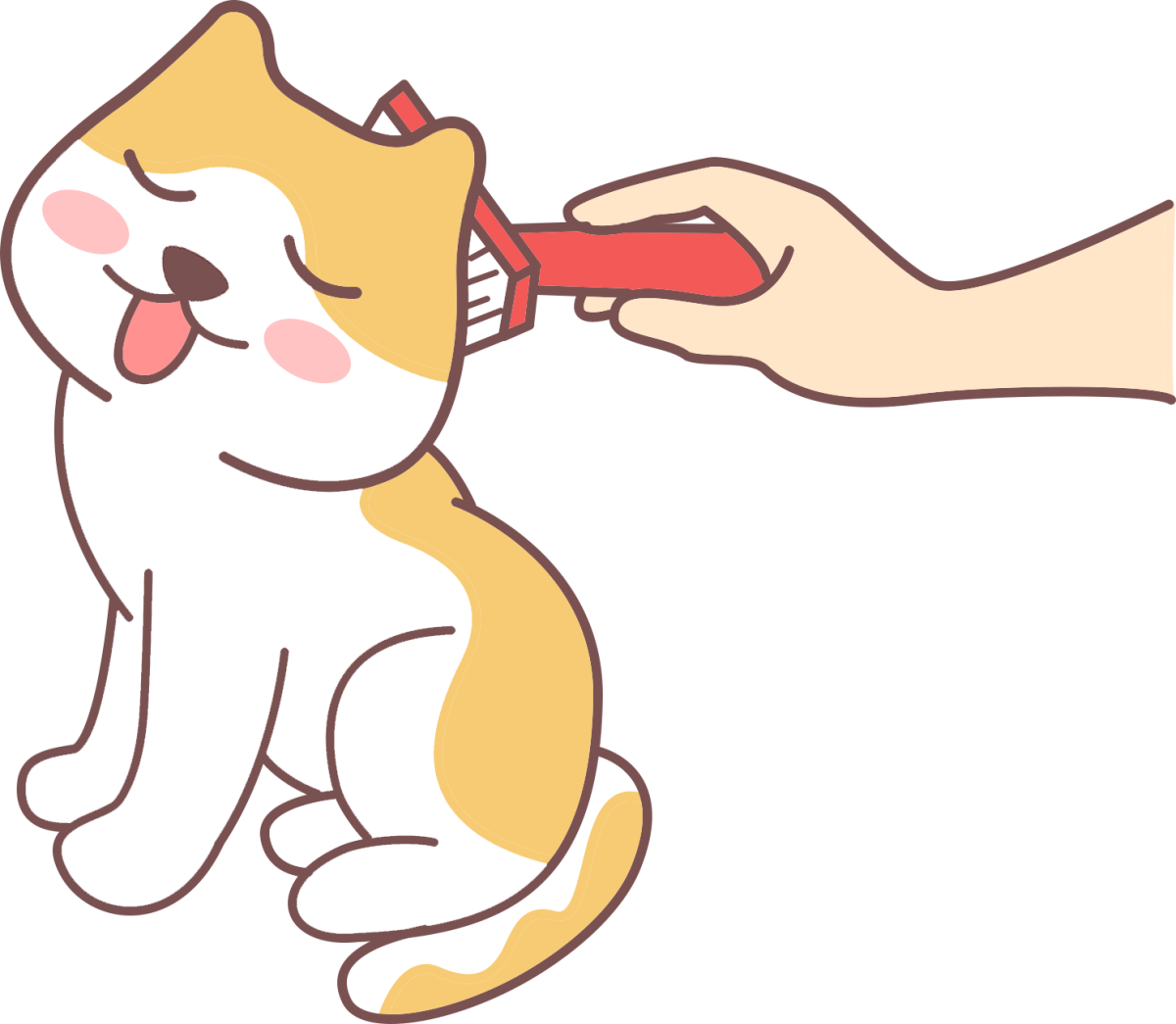 银渐层掉毛严重