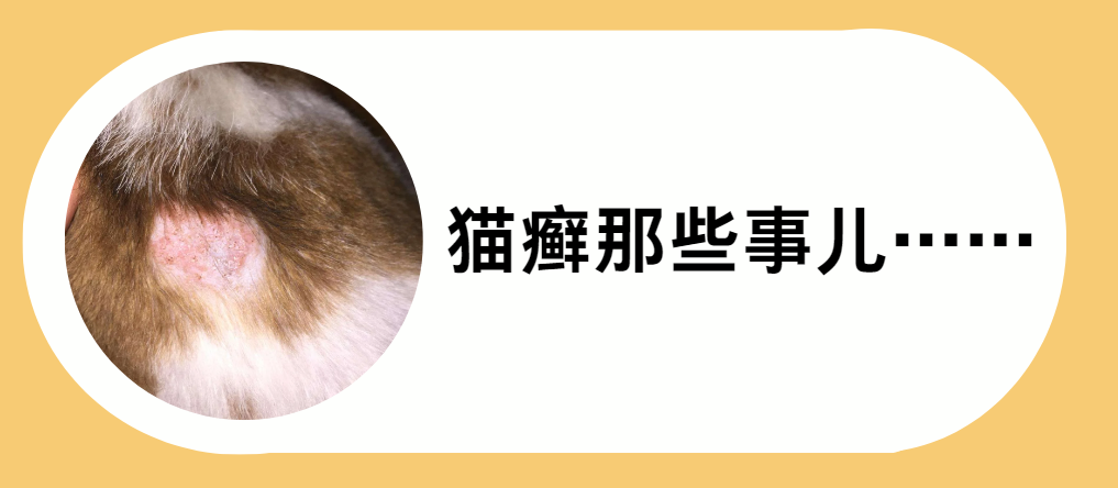 猫咪猫癣不停结痂还脱毛怎么办？